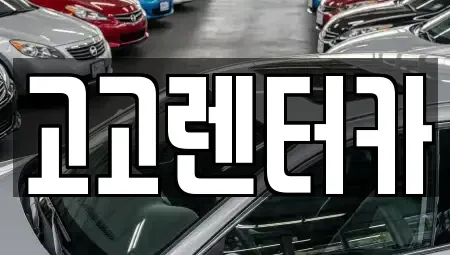 경상남도 창원시 마산합포구 수성동 렌트카 전문 고고렌터카