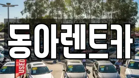 경상남도 창원시 마산합포구 수성동 렌트카 전문 동아렌트카