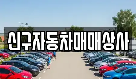 경상남도 창원시 마산합포구 수성동 중고차매매 전문 신구자동차매매상사