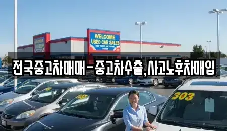 경상남도 창원시 마산합포구 수성동 중고차매입 전문 전국중고차매매-중고차수출,사고노후차매입