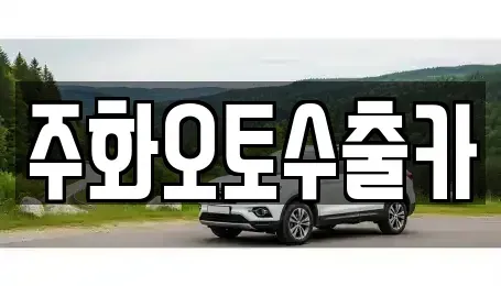 경상남도 창원시 마산회원구 석전동 중고차 전문 주화오토수출카