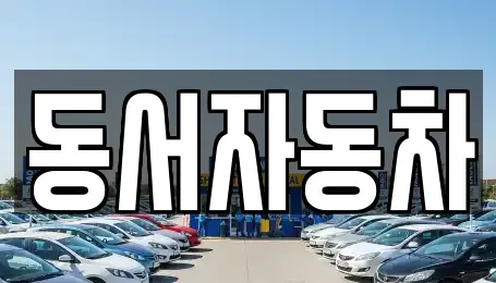 경상남도 창원시 진해구 속천동 중고차매매 전문 동서자동차