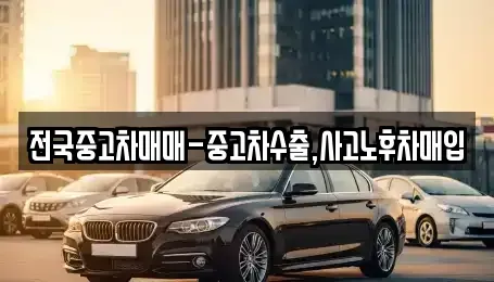 경상남도 창원시 진해구 속천동 중고차매입 전문 전국중고차매매-중고차수출,사고노후차매입