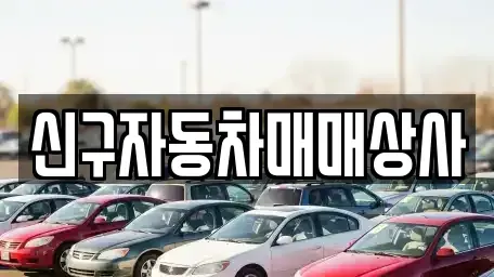 경상남도 창원시 진해구 통신동 중고차 전문 신구자동차매매상사