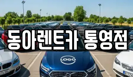 경상남도 통영시 도천동 렌트카 전문 동아렌트카 통영점