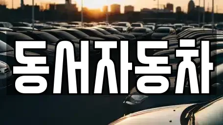 경상남도 통영시 도천동 중고차 전문 동서자동차