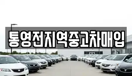 경상남도 통영시 도천동 중고차 전문 통영전지역중고차매입