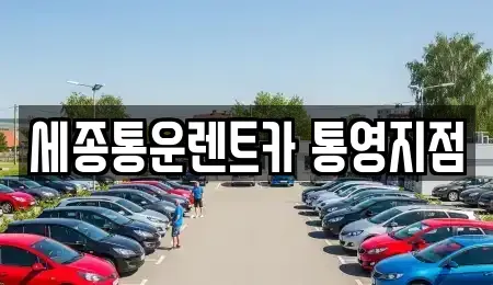 경상남도 통영시 명정동 렌트카 전문 세종통운렌트카 통영지점