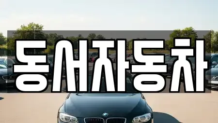 경상남도 통영시 명정동 중고차매매 전문 동서자동차