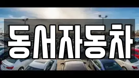 경상남도 통영시 무전동 중고차 전문 동서자동차