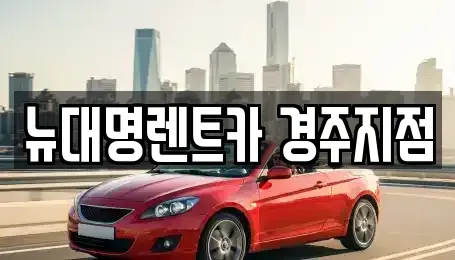 경상북도 경주시 효현동 렌트카 전문 뉴대명렌트카 경주지점