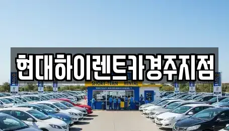 경상북도 경주시 효현동 렌트카,단기렌트카,장기렌트카,중고차,중고차매매,중고차매입