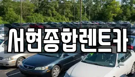 경상북도 경주시 효현동 장기렌트카 전문 서현종합렌트카