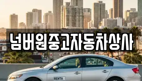 경상북도 경주시 효현동 중고차 전문 넘버원중고자동차상사