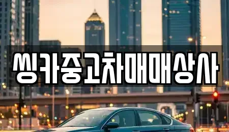 경상북도 경주시 효현동 중고차 전문 씽카중고차매매상사
