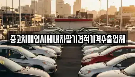 경상북도 경주시 효현동 중고차매입 전문 중고차매입시세내차팔기견적가격수출업체