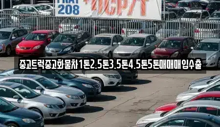 경상북도 경주시 효현동 중고차매입 전문 중고트럭중고화물차1톤2.5톤3.5톤4.5톤5톤매매매입수출