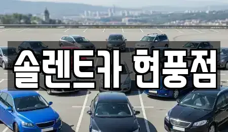 경상북도 고령군 렌트카 전문 솔렌트카 현풍점