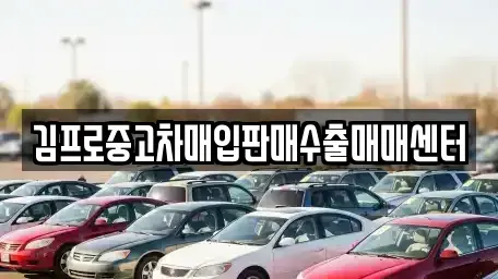경상북도 고령군 중고차매입 전문 김프로중고차매입판매수출매매센터