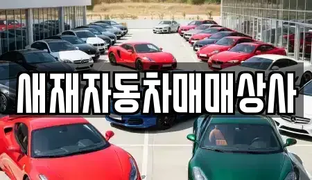 경상북도 문경시 문경읍 렌트카,단기렌트카,장기렌트카,중고차,중고차매매,중고차매입