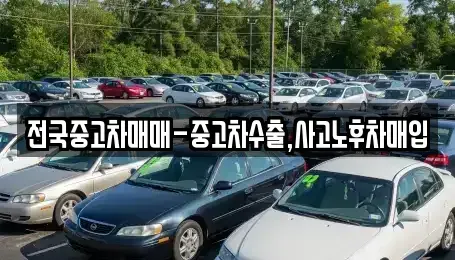 경상북도 문경시 산양면 중고차매매 전문 전국중고차매매-중고차수출,사고노후차매입