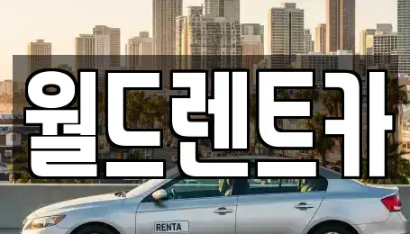 경상북도 안동시 서후면 렌트카 전문 월드렌트카