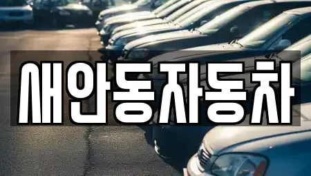 경상북도 안동시 서후면 중고차 전문 새안동자동차