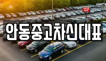 경상북도 안동시 서후면 중고차 전문 안동중고차신대표
