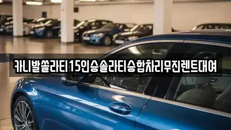 경상북도 안동시 운안동 렌트카 전문 카니발쏠라티15인승솔라티승합차리무진렌트대여