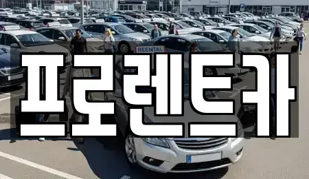 경상북도 안동시 운안동 렌트카 전문 프로렌트카