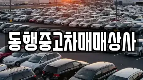경상북도 안동시 운안동 중고차 전문 동행중고차매매상사