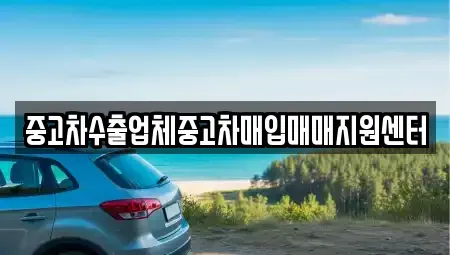 경상북도 안동시 운안동 중고차매입 전문 중고차수출업체중고차매입매매지원센터
