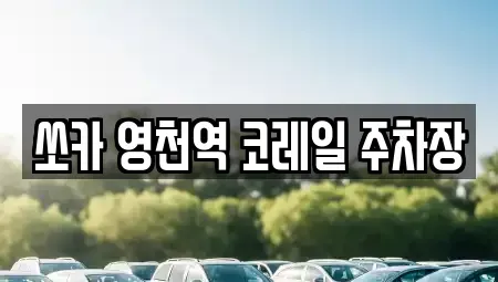 경상북도 영천시 도동 렌트카 전문 쏘카 영천역 코레일 주차장