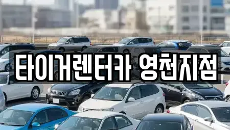 경상북도 영천시 도동 렌트카 전문 타이거렌터카 영천지점