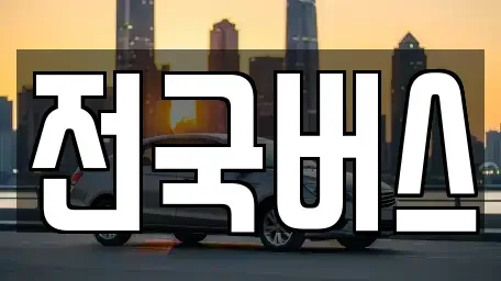 경상북도 영천시 도동 중고차매매 전문 전국버스