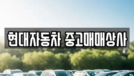 경상북도 영천시 도동 중고차매매 전문 현대자동차 중고매매상사