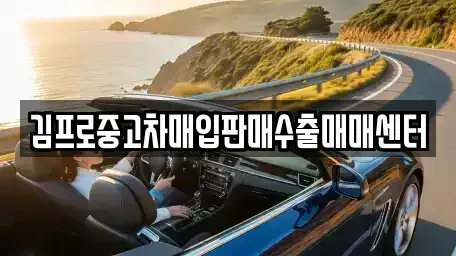 경상북도 영천시 도동 중고차매입 전문 김프로중고차매입판매수출매매센터