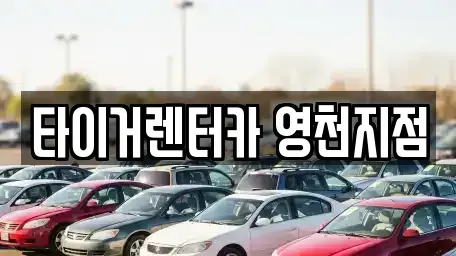 경상북도 영천시 창구동 렌트카 전문 타이거렌터카 영천지점
