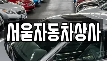 경상북도 영천시 창구동 중고차 전문 서울자동차상사