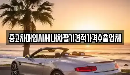 경상북도 영천시 창구동 중고차매입 전문 중고차매입시세내차팔기견적가격수출업체