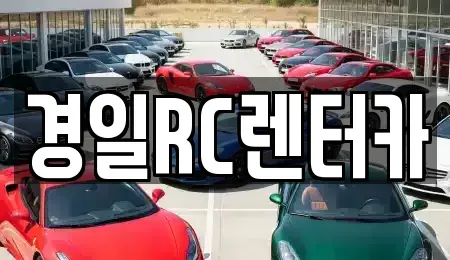 경상북도 영천시 화룡동 렌트카 전문 경일RC렌터카