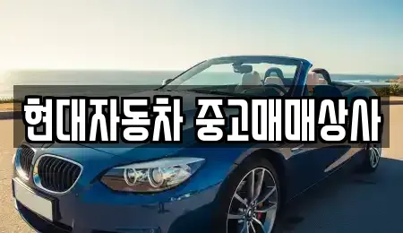 경상북도 영천시 화룡동 중고차 전문 현대자동차 중고매매상사