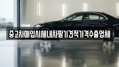 경상북도 영천시 화룡동 중고차매입 전문 중고차매입시세내차팔기견적가격수출업체