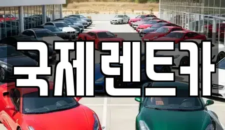 경상북도 칠곡군 석적읍 렌트카 전문 국제렌트카