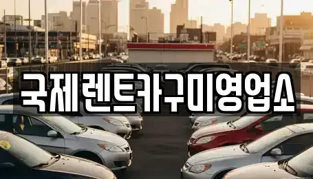 경상북도 칠곡군 석적읍 렌트카 전문 국제렌트카구미영업소