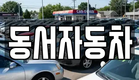 경상북도 칠곡군 석적읍 중고차매매 전문 동서자동차