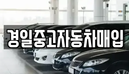 경상북도 칠곡군 석적읍 중고차매입 전문 경일중고자동차매입