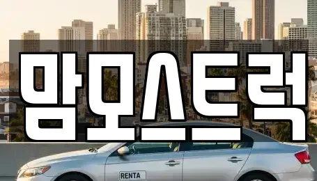 경상북도 칠곡군 왜관읍 중고차 전문 맘모스트럭