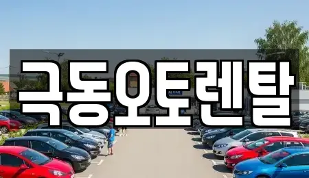 경상북도 포항시 남구 해도동 렌트카 전문 극동오토렌탈