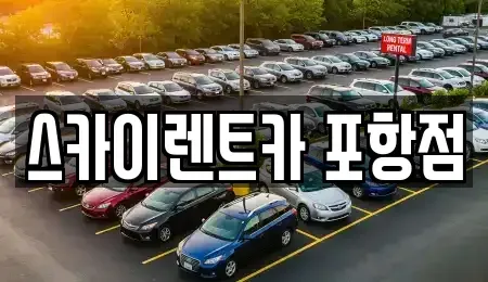 경상북도 포항시 남구 해도동 렌트카 전문 스카이렌트카 포항점
